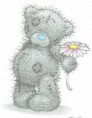 /album/fotogalerie-fotogalerie1/tatty-teddy-s-holding-a-daisy-me-to-you-bears-6350334-315-405-jpg/